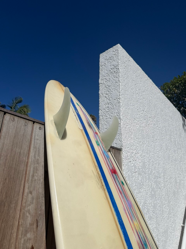 12ft. Twin fin. The video.
